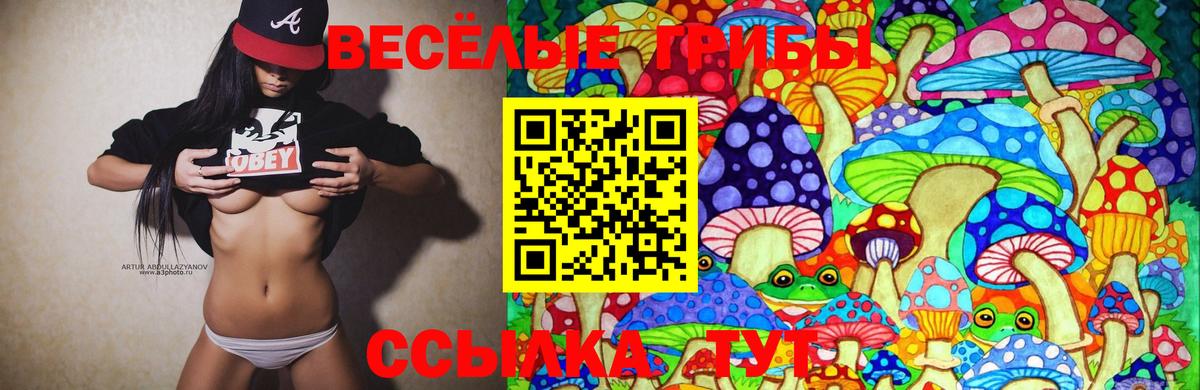 Сердобск  Псилоцибиновые грибы прущие грибы  Вход с VPN 